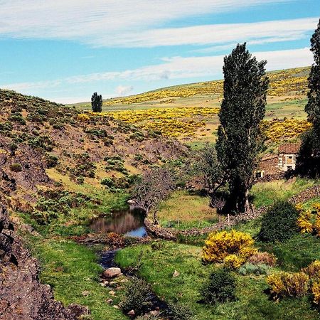 Casa Rural La Vereilla Barajas de Gredos Ngoại thất bức ảnh