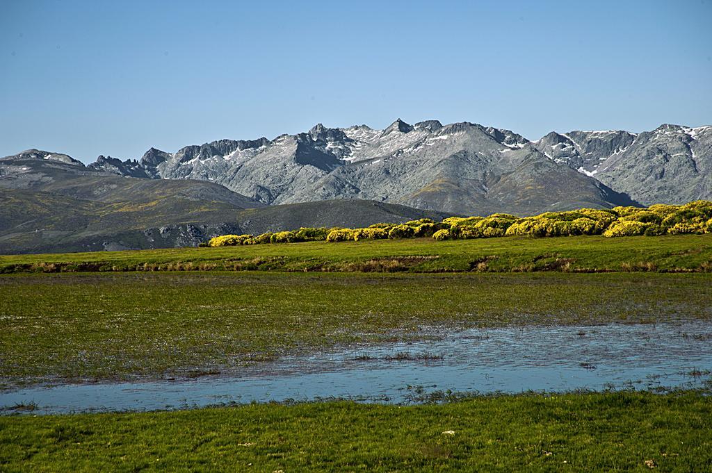 Casa Rural La Vereilla Barajas de Gredos Ngoại thất bức ảnh