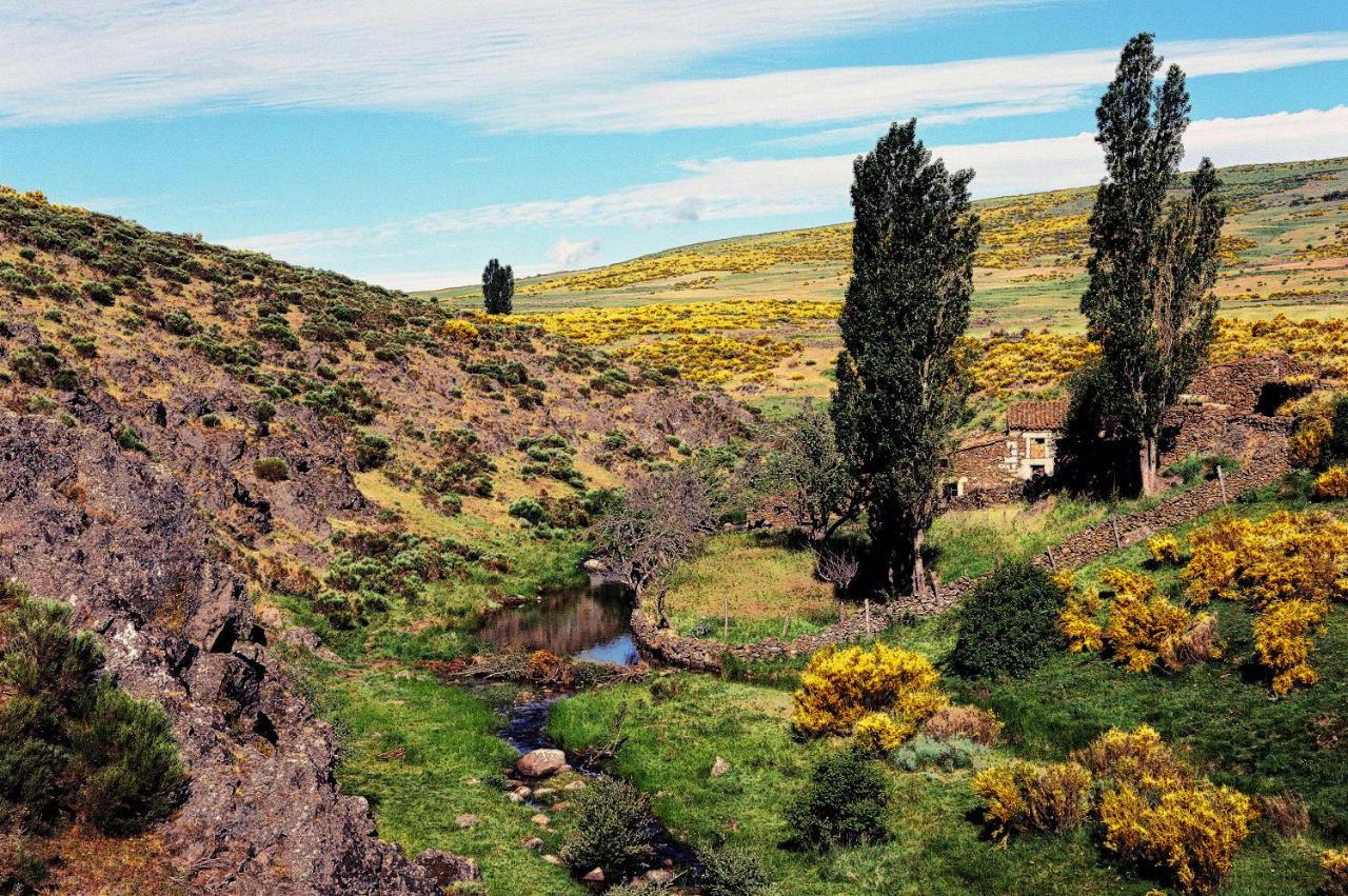 Casa Rural La Vereilla Barajas de Gredos Ngoại thất bức ảnh